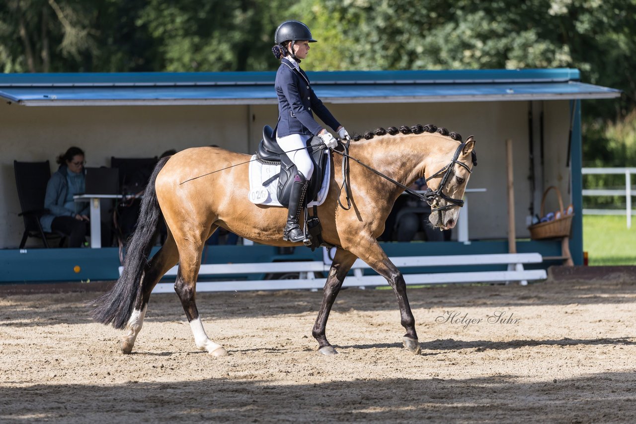 Bild 503 - Pony Akademie Turnier